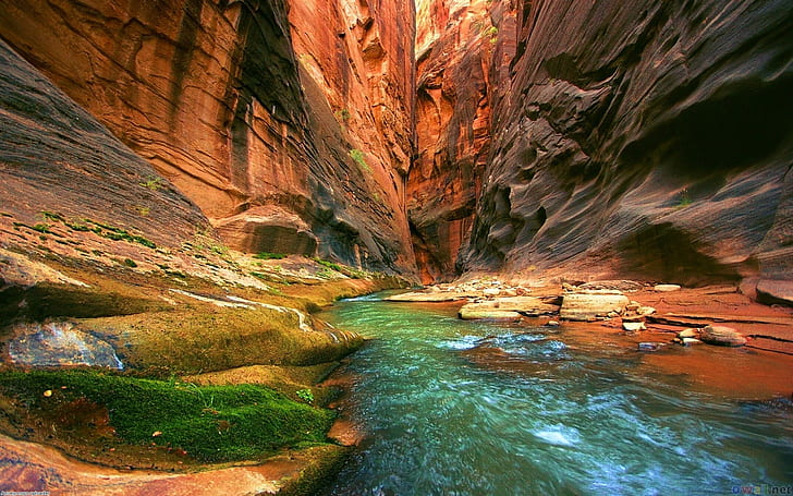 Colorado River Grand Canyon National Park Wallpaper Hd For Desktop 2560×1600, HD wallpaper