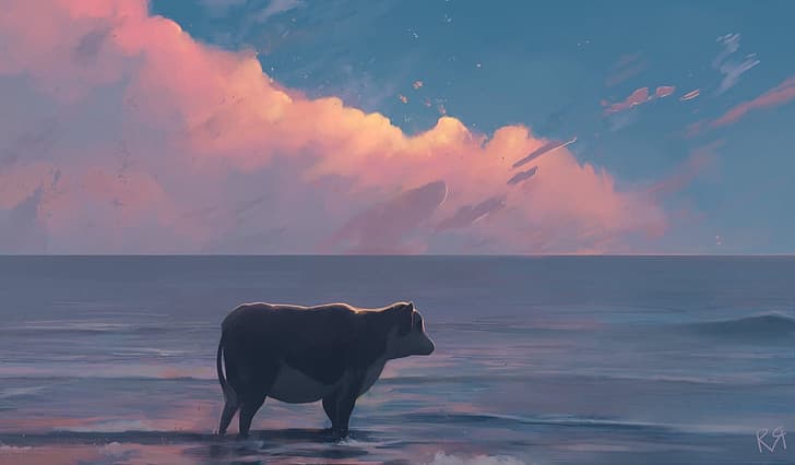 cow, sea, HD wallpaper