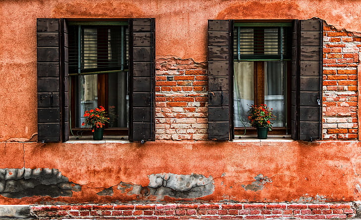 window, house, flowers, building