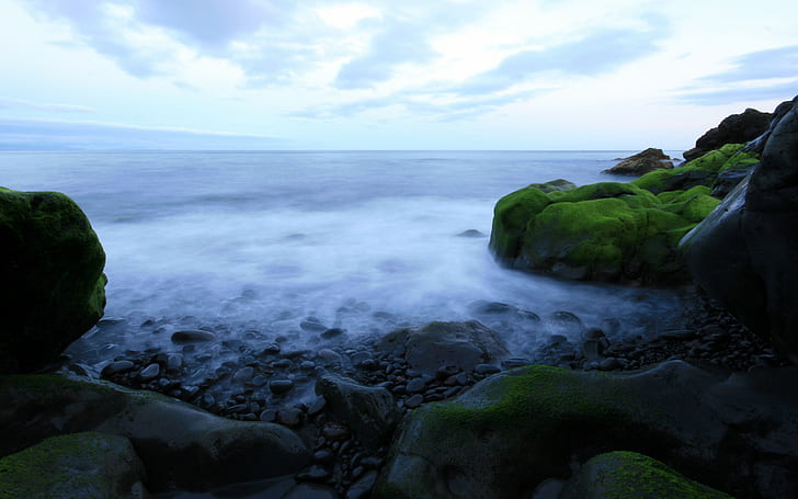 coast, nature, sea, sky, moss, rock, horizon, HD wallpaper