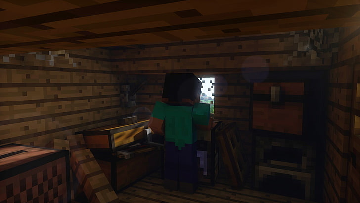 Minecraft Steve, video games, people, females, women, indoors, HD wallpaper
