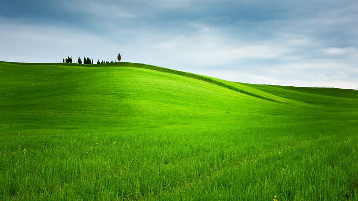 HD wallpaper: Hill, Grass, Trees, Landscape, Nature, Field, Green |  Wallpaper Flare