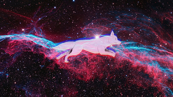 space, dog, Veil Nebula, HD wallpaper