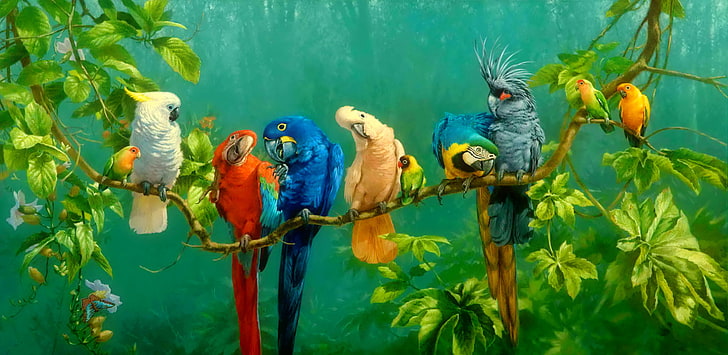 Birds, Parrot, Artistic, Branch, Cockatoo, Colorful, Colors