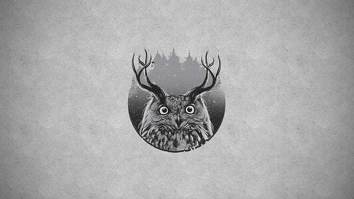 owl, forest, HD wallpaper
