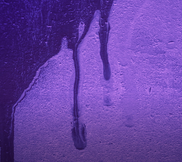 purple, no people, nature, close-up, outdoors, day, auto post production filter