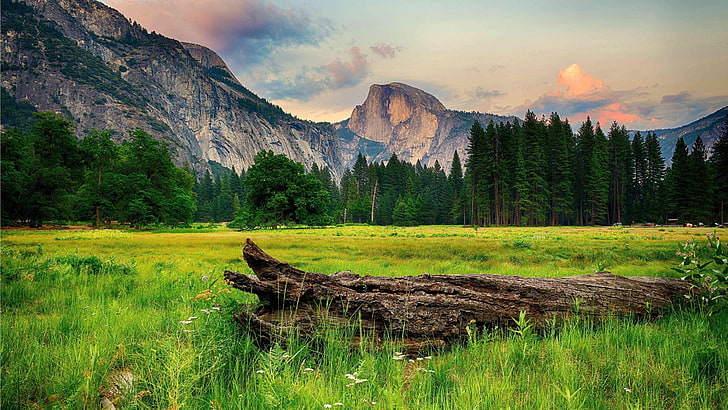 mountainous landforms, meadow, national park, sky, california