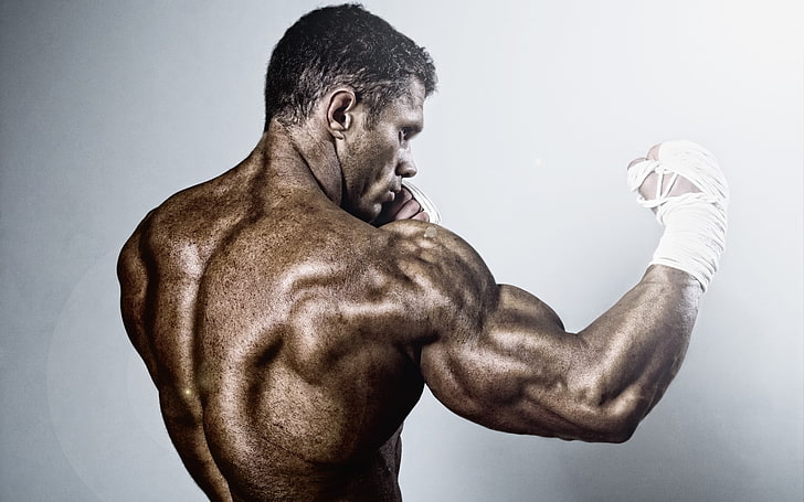 Boxing Back Muscles, male martial artist digital wallpaper, Sports