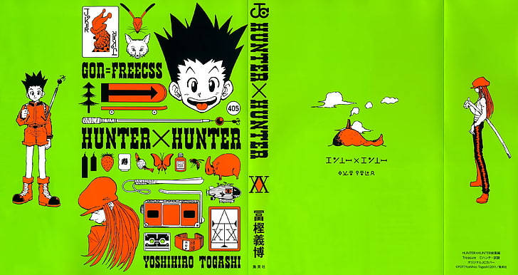 HunterXHunter, Gon, green color, nature, representation, people, HD wallpaper