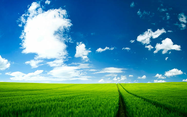 landscape photo of a green field under cloudy sky, nature, rural Scene
