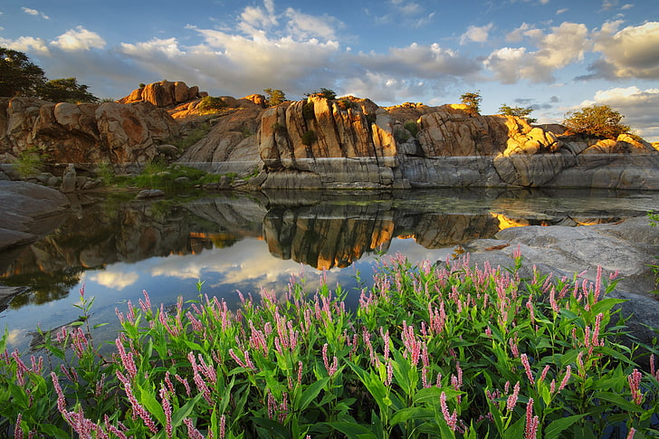 clouds, flowers, lake, reflection, rocks, AZ, USA, Arizona