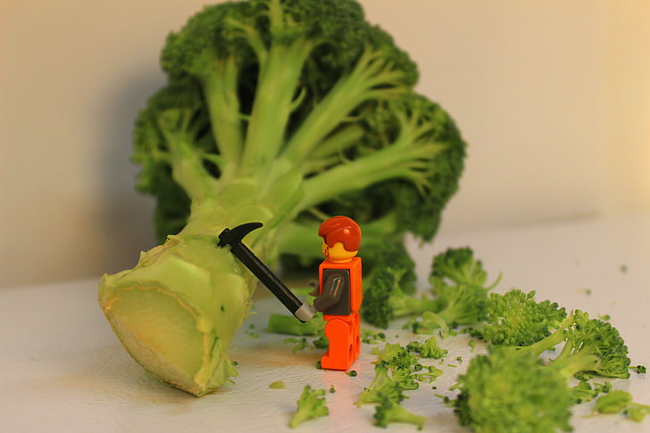 photography, LEGO, vegetables, green color, toy, human representation