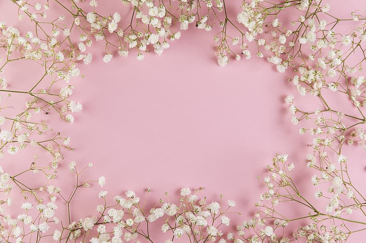 HD wallpaper: flowers, white, pink background, tender, frame, floral |  Wallpaper Flare