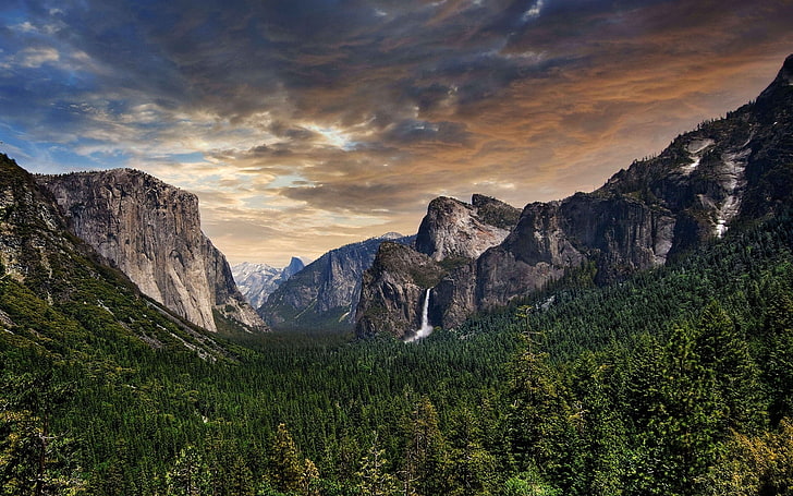 landscape, forest, mountains, Yosemite National Park, USA, nature