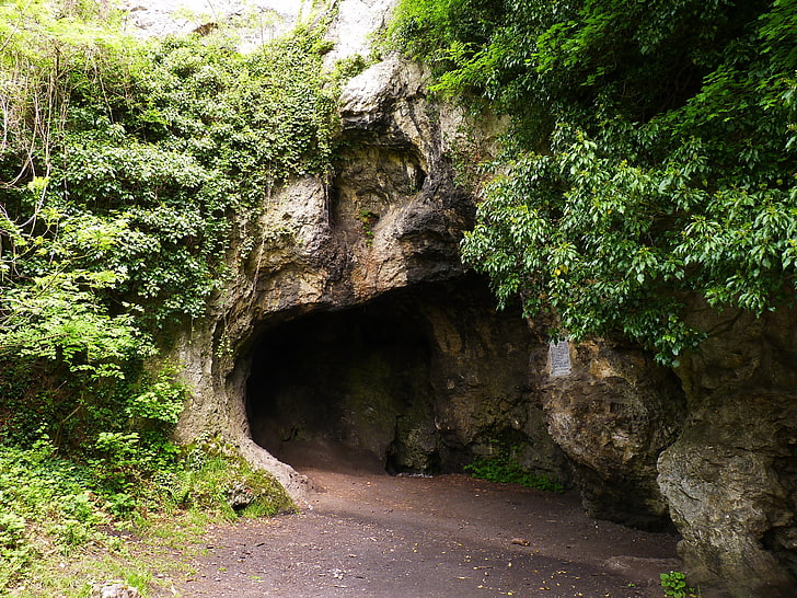 brown cave and trees, mountains, belgium, grotto, nature, forest