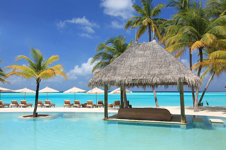 brown hut, palm trees, vacation, sun beds, pool, vacations, sea, HD wallpaper