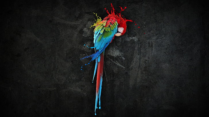 Scarlet Macaw wallpaper, birds, colorful, parrot, multi colored