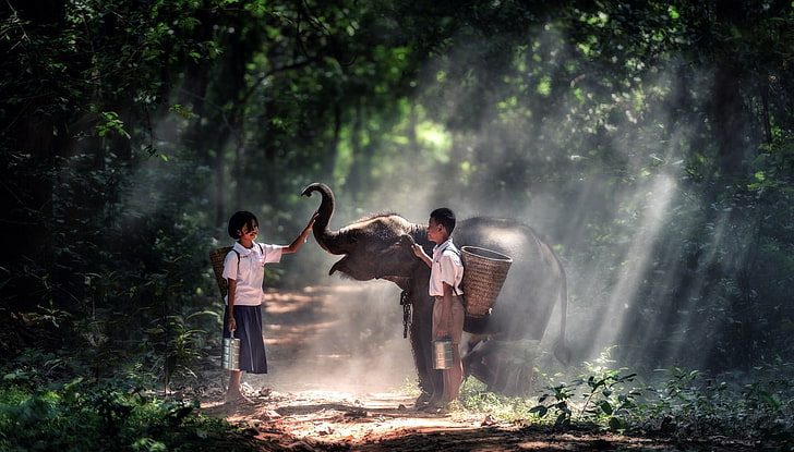 two girl and boy holding baby elephant on dirty pathway, Thailand, HD wallpaper