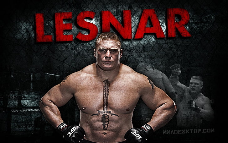 HD wallpaper: Brock Lesnar, Sports, Mixed Martial Arts, MMA | Wallpaper  Flare