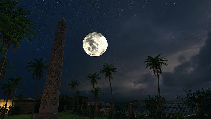 full moon over place with palm tress and concrete monument tower