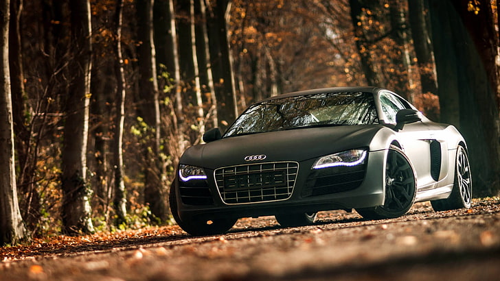 gray Audi R8 sports coupe, car, forest, tree, land, mode of transportation