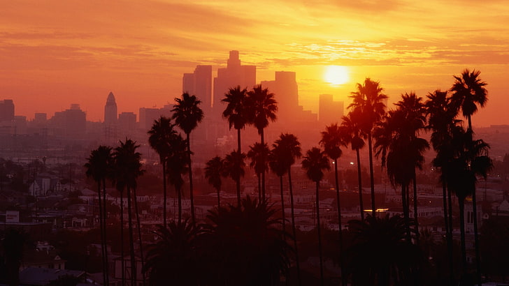 Hd Wallpaper Los Angeles Palm Trees Sunset Wallpaper Flare