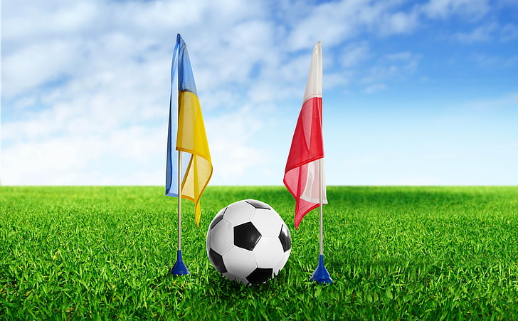 white soccer ball, football, ukraine, poland, grass, flags, sport