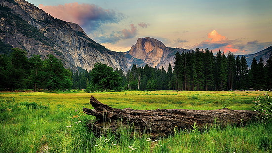 HD wallpaper: landscape 4k mac wallpaper, mountain, tree, plant, scenics -  nature | Wallpaper Flare
