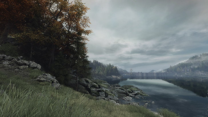 brown trees, The Vanishing of Ethan Carter, video games, landscape, HD wallpaper