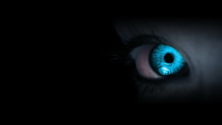eyes, blue eye, closeup, black background, HD wallpaper
