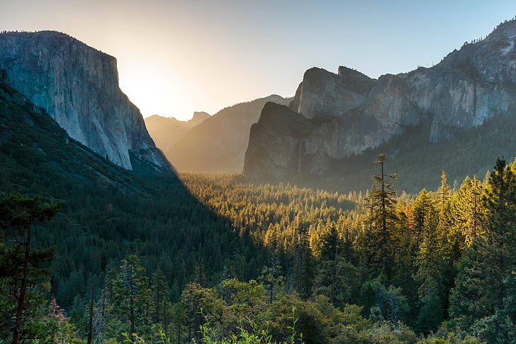 Yosemite National Park, trees, mountains, forest, nature, sunset, HD wallpaper