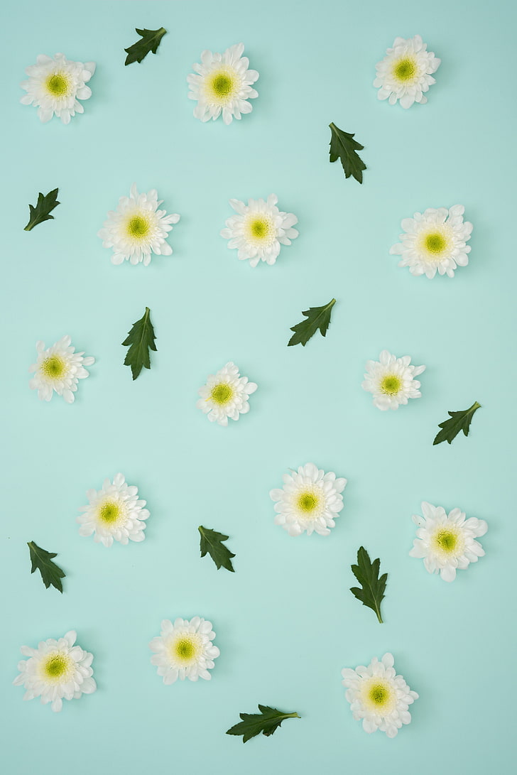 HD wallpaper: artificial white flowers