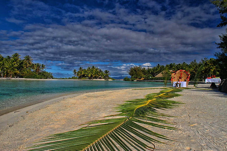 Beach in Bora Bora, palm tree leaves, island, exotic, tropical, HD wallpaper