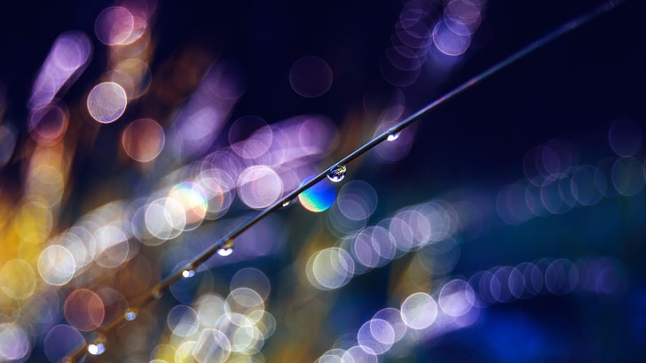 Bokeh photography, blurred, water drops, illuminated, defocused