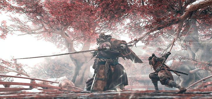 Video Game, Sekiro: Shadows Die Twice, Battle, Samurai, Sekiro (Sekiro)