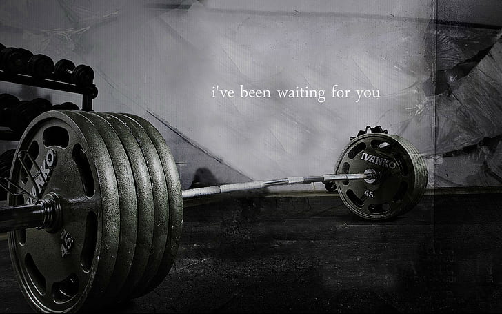 gym weights quotes