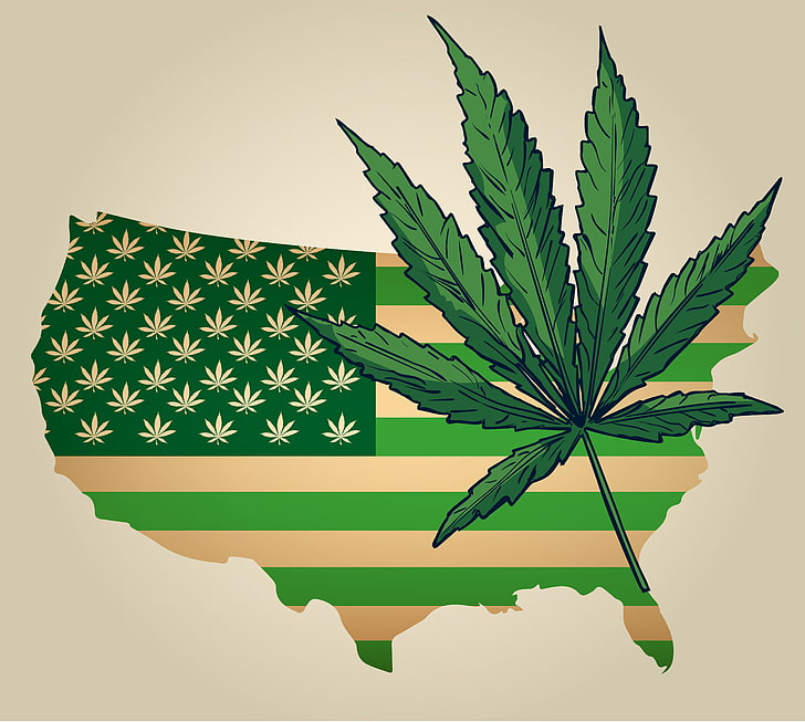 Poll: Record Percentage Of Americans Support Legalizing Marijuana - NORML