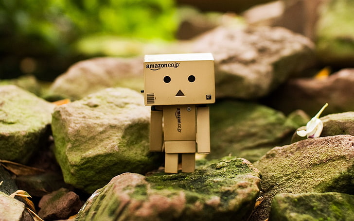 Amazon, Danbo, solid, rock, rock - object, no people, nature