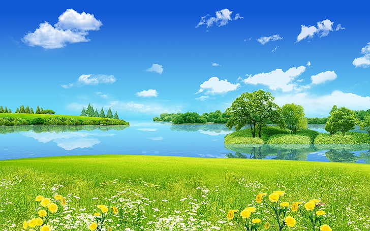 Creative Summer Dreamland, plant, sky, beauty in nature, flower, HD wallpaper