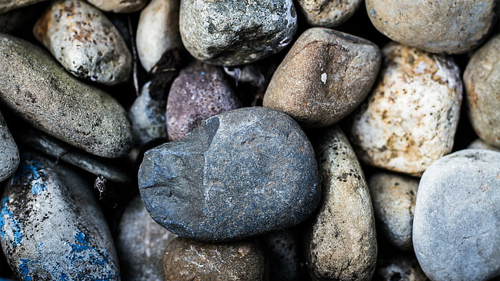gray smooth rock, closeup photography of gray and white stones