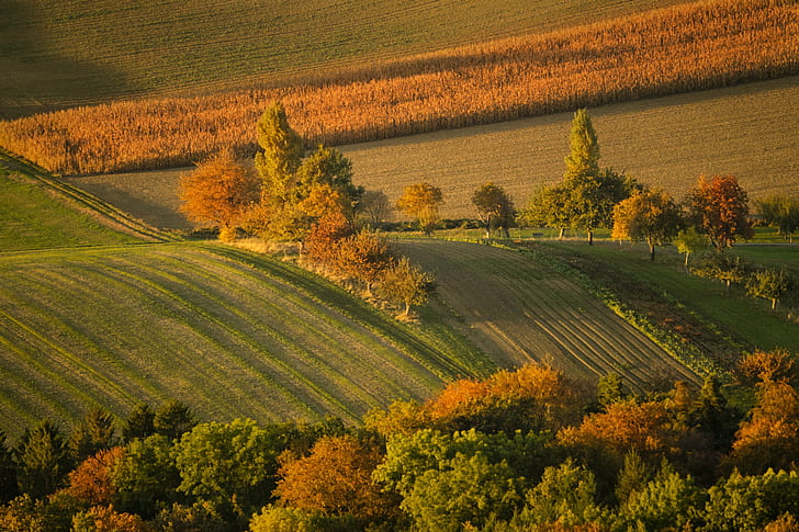 landscape photography of green grass field, Colours, Fall, Herbst, HD wallpaper