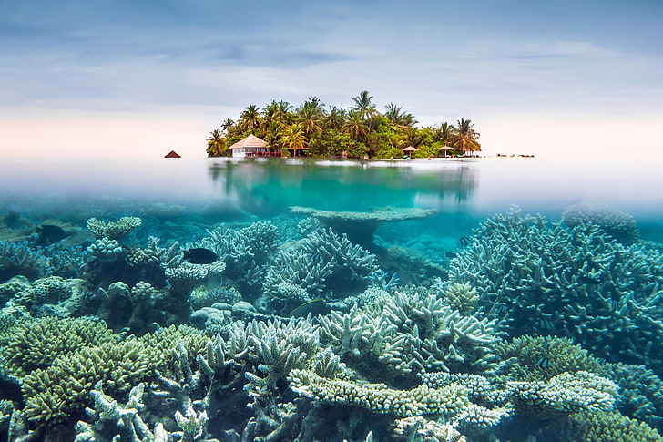 coral reefs, the sky, the ocean, island, resort, under water, HD wallpaper