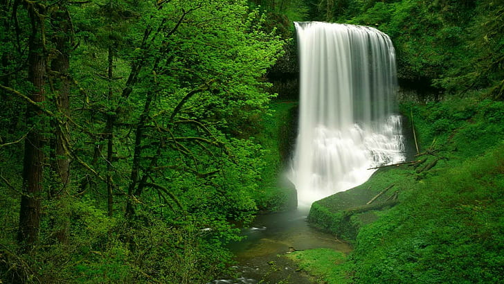 Waterfall Trees Forest Tropical Jungle Timelapse HD, nature