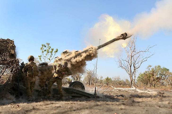 bare tree, M777 howitzer, weapon, military, sky, day, destruction