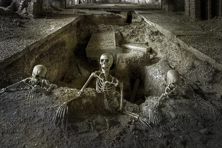 gray skeleton illustration, tomb, human representation, architecture, HD wallpaper