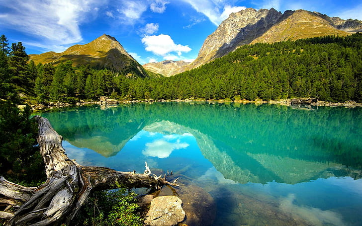 Silent Lake, mountain, landscape, forest, nature and landscapes, HD wallpaper