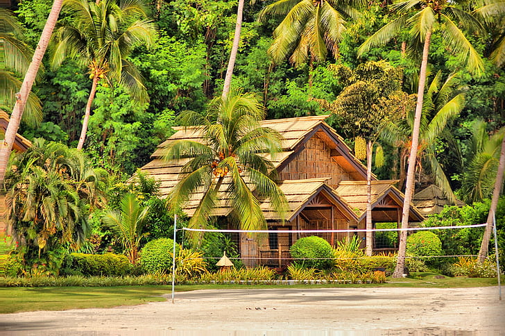 Samal, Philippines, bungalow, brown and beige house near in a green coconut treas