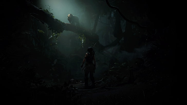 Tomb Raider, jungle, Lara Croft, video games, screen shot, forest, HD wallpaper