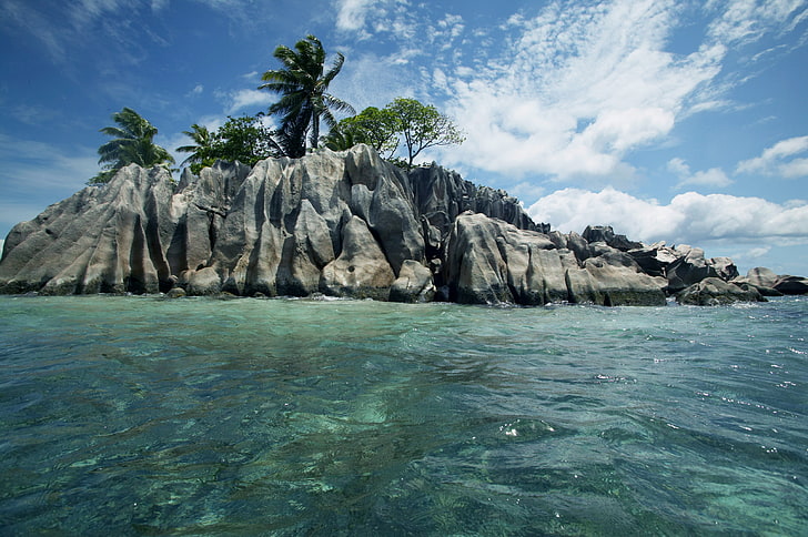 island with coconut trees, nature, the ocean, stay, relax, Seychelles