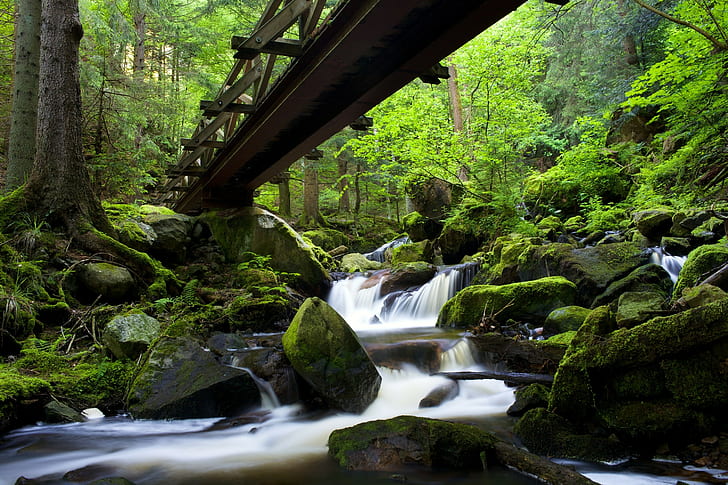 Black Forest, Baden-Wurttemberg, Germany, river, water stream between rocks, HD wallpaper